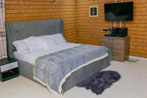 a bedroom with a bed and a television in it at Fern Haven in Port Harcourt