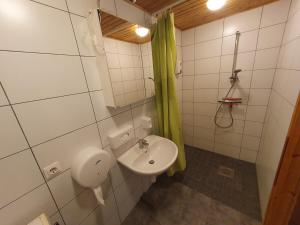 a bathroom with a sink and a toilet and a shower at Love Island Guesthouse in Druskininkai +49 photos