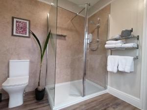 a bathroom with a shower and a toilet at Schooner Point Guest House in Looe