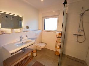 a bathroom with a sink and a toilet and a shower at Landhaus de Bel in Hergenrath +11 photos