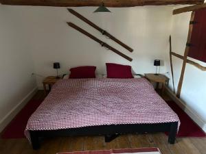 a bedroom with a large bed with red pillows at Knochenhaus in Schmallenberg