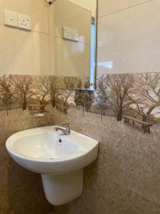 a bathroom with a white sink and a mirror at Ivory guest house in Pattipola