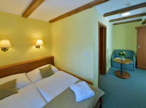 a hotel room with a bed and a table at Spa Resort Libverda - Hotel Lesní Zátiší in Lázně Libverda +33 photos