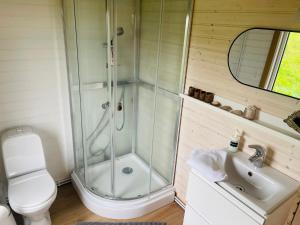 a bathroom with a shower and a toilet and a sink at Vestra Fíflholt Cabin 4 in Hvolsvöllur +24 photos