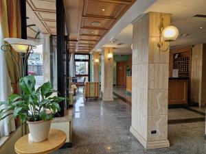 a hallway with a potted plant in a building at Hotel L'Aquila in Pomezia