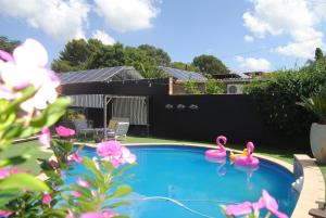two pink flamingos swimming in a swimming pool at Villa Grande Luxury accommodation in Welkom