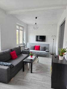 a living room with a gray couch and red pillows at GreatLoft Apartament in Oświęcim