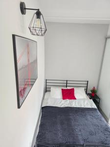 a bedroom with a bed with a red pillow at GreatLoft Apartament in Oświęcim