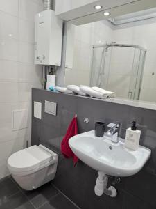 a bathroom with a sink and a toilet and a mirror at GreatLoft Apartament in Oświęcim +12 photos