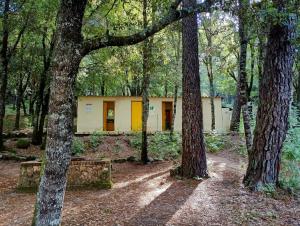 a building in the middle of a forest at Yourtes Corse Le pré aux biches in Zonza