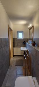a bathroom with a sink and a mirror at Gästehaus Bergwald in Kurort Gohrisch +77 photos