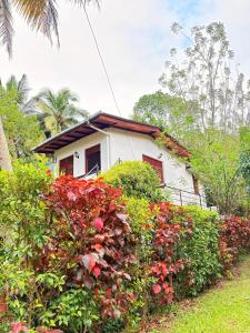 a white house with a bunch of bushes and flowers at Laa Villa Kandy in Kandy