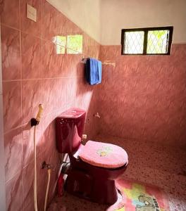 a bathroom with a pink toilet in a room at Laa Villa Kandy in Kandy +19 photos
