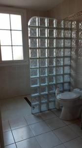 a bathroom with a toilet and a large glass wall at Dépendance du Duesmois in Fontaines-en-Duesmois