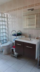 a bathroom with a sink and a toilet at Dépendance du Duesmois in Fontaines-en-Duesmois