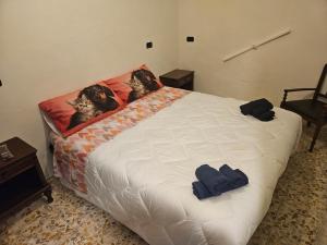 a bed with two blue pillows on top of it at Da Papone in Massa dʼAlbe