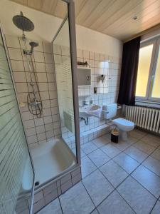 a bathroom with a shower and a toilet at Pension Waldschloß in Holzminden +46 photos