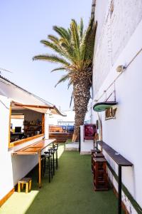 a restaurant with a palm tree in the background at Aotea Backpacker Hostel in Iquique