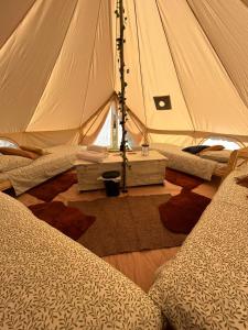 a tent with two beds and a table in it at Bubble Inn Eco Village in Montecopiolo