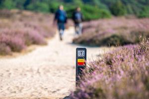 a sign in the middle of a dirt path with purple flowers at Camping Hunze Bulten in Annen
