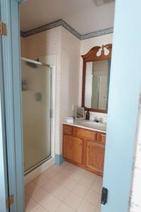 a bathroom with a shower and a sink and a mirror at Strassner Suites - Imy Suite in Hermann
