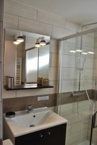 拉布雷斯的住宿－les Genêts，一间带水槽和镜子的浴室