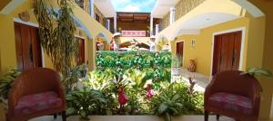ein Flur mit zwei Stühlen und Pflanzen in einem Gebäude in der Unterkunft Casa Xanath in Tulum