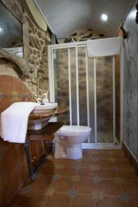 a bathroom with a shower and a toilet and a sink at O Viraventos in Betanzos +14 photos