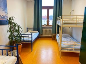 a room with two bunk beds and a window at Steffis Hostel Heidelberg in Heidelberg