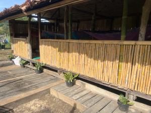 a wooden deck with potted plants on it at Sleep tourism Maewang in Ban Huai Rin