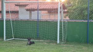 a black dog laying in front of a soccer goal at Chácara Recanto do Sossego in Araçoiaba da Serra