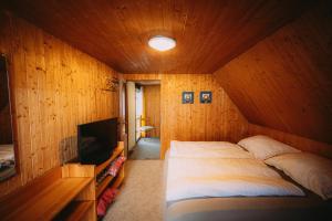 a bedroom with a bed and a tv in it at Chata u Karla in Rudná pod Pradědem