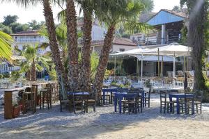 a group of tables and chairs on the beach with palm trees at Avocado house in Finikounta