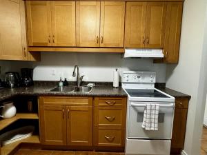 a kitchen with wooden cabinets and a stove and a sink at Beachfront King Bed Studio Suite in Qualicum Beach