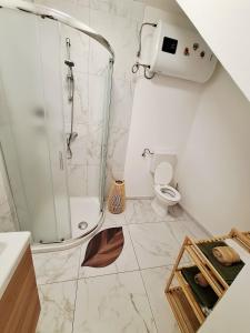 a bathroom with a shower and a toilet at Casa D'oro1700 - Old town Koper in Koper