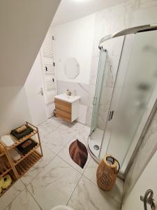 a bathroom with a shower and a sink at Casa D'oro1700 - Old town Koper in Koper