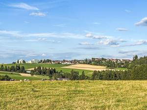 a green field with a town in the background at Holiday Home Mily by Interhome in Dittishausen