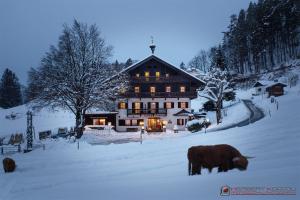 a large house with two cows in the snow at Berghotel Hinterduxerhof in Sparchen