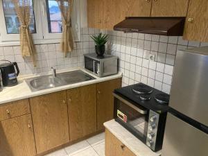 a kitchen with a sink and a microwave at Olea Garden Home in Kanálion