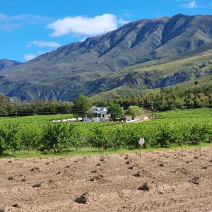 a farm with a mountain in the background at Windkraal Farm Studio in Bonnievale