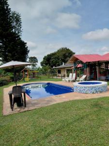 a pool with a table and a chair and an umbrella at Finca Montenegro Quindio in Montenegro