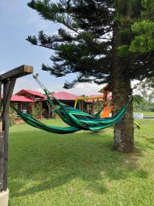 a hammock hanging from a tree next to a playground at Finca Montenegro Quindio in Montenegro