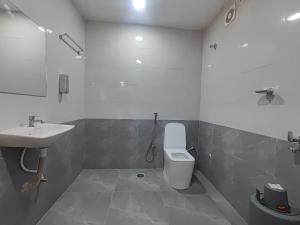 a bathroom with a toilet and a sink at Hotel Elite Walker Town in Hyderabad +27 photos