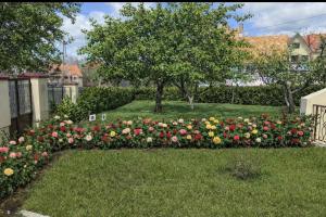 a garden of flowers in a yard at Appartement Les Rosiers in Ifrane
