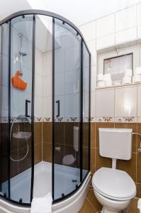 a bathroom with a shower and a toilet at Apartments Juka in Milna +69 photos