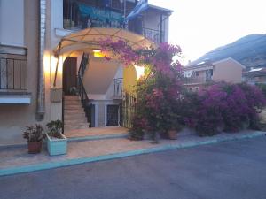 an entrance to a building with flowers in pots at Violatos studios in Agia Effimia