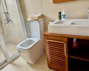 a bathroom with a sink and a toilet and a shower at Colombo Residency -Pent House in Kotuwegoda