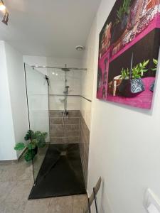 a bathroom with a shower with a glass door at Aux Chti Bains in Balaruc-le-Vieux
