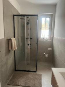 a shower with a glass door in a bathroom at Villa Lidl Ferienwohnung in Altaussee +21 photos
