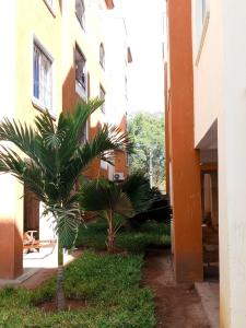 a palm tree in front of a building at Bamburi Mombasa two bedroom Cutraz homes apartments with swimming pool 005 in Mtwapa